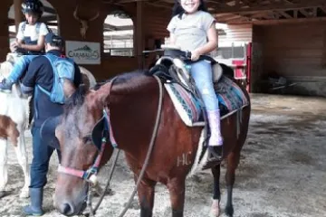 a person riding a horse