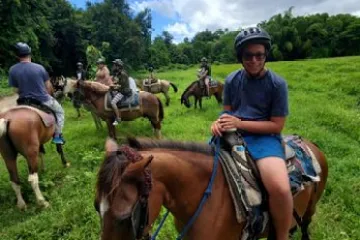 a group of people riding a horse in a field