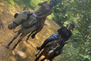 a person riding a horse in a forest