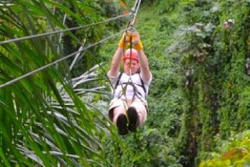 a person standing in front of a forest