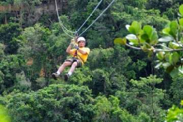 a man riding on top of a tree