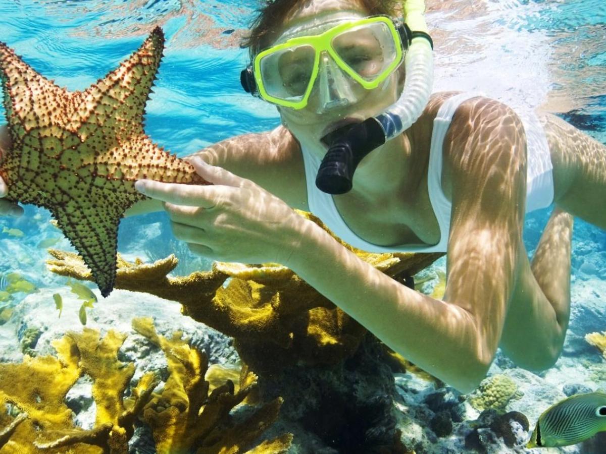 snorkeler by reef