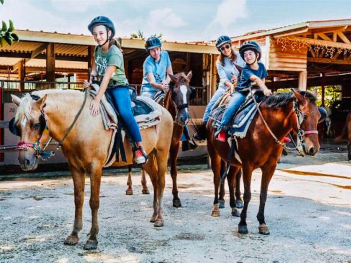 a man riding a horse