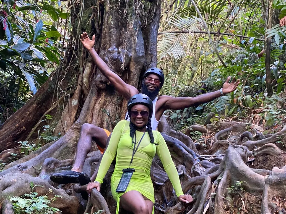 a man riding on top of a tree
