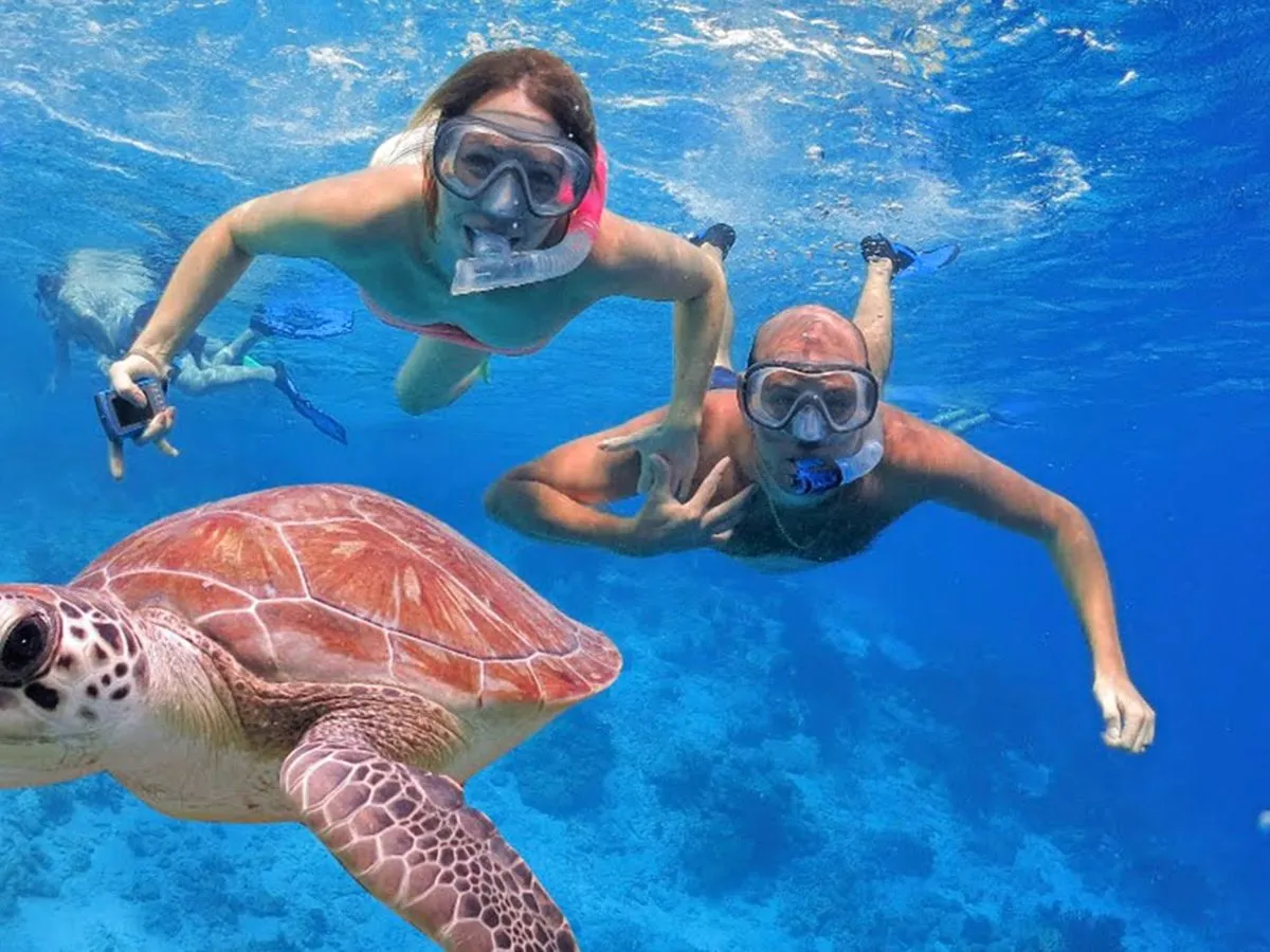 a person in a pool of water