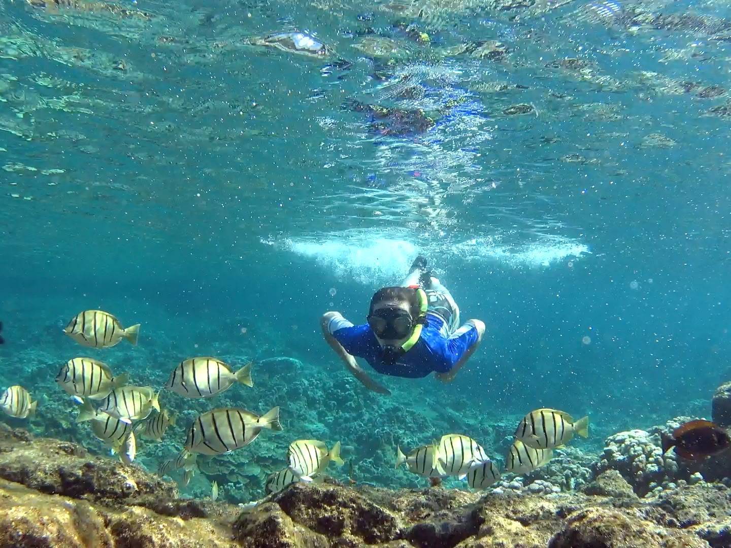 a person in a pool of water