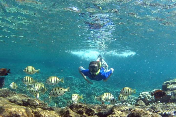 a person in a pool of water