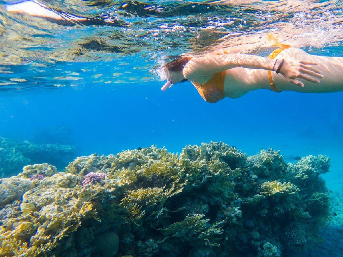a person swimming in the water