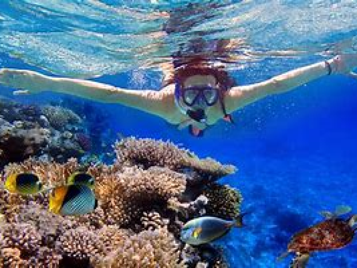 a person swimming in a body of water