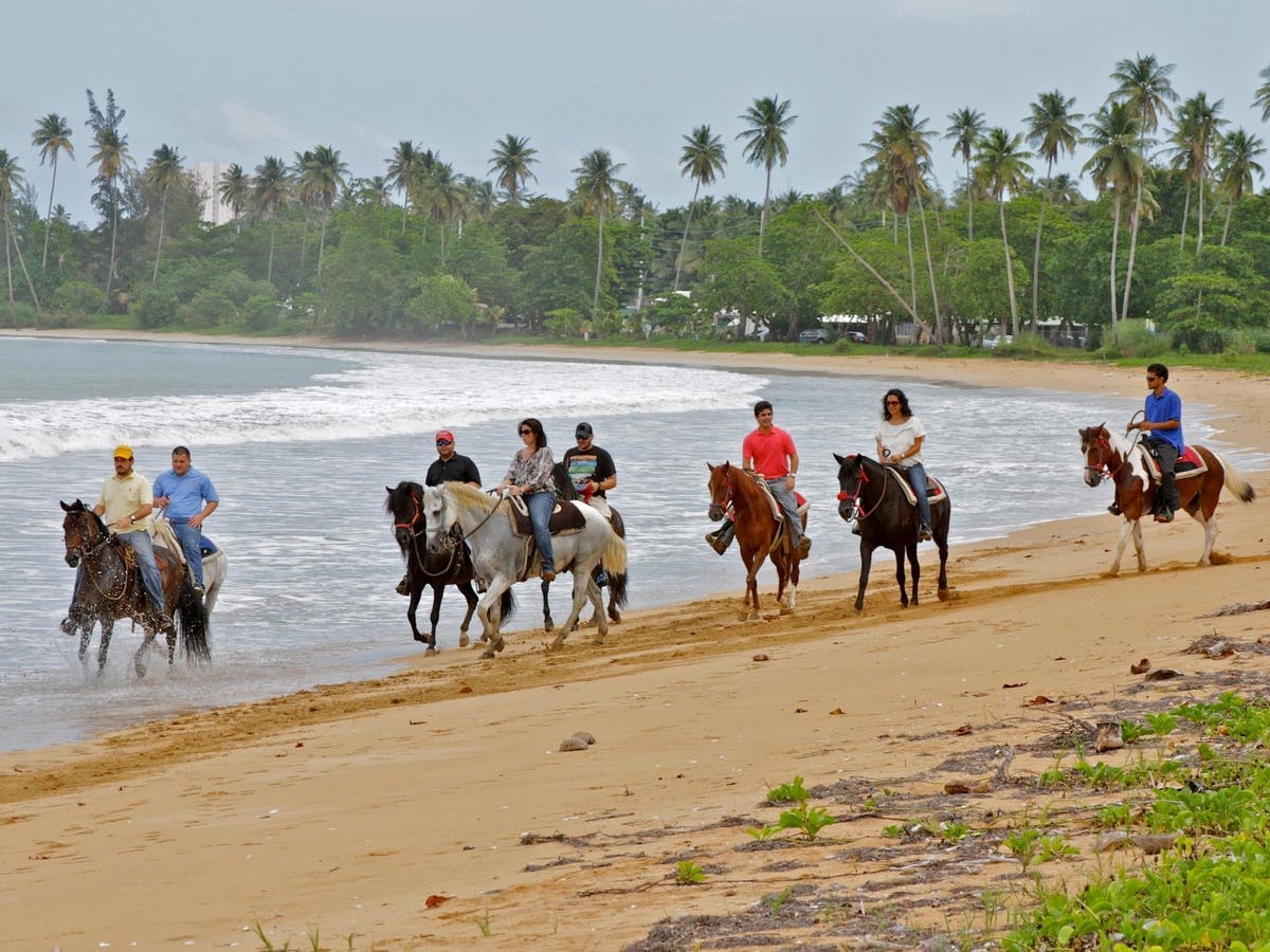 a group of people riding a horse on a beach