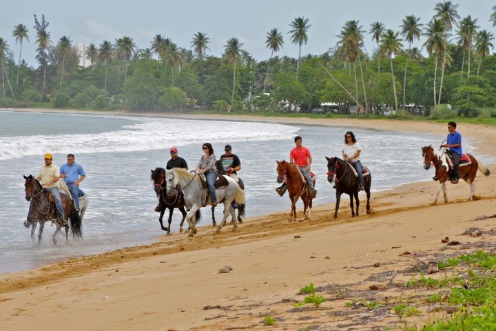 a group of people riding a horse on a beach