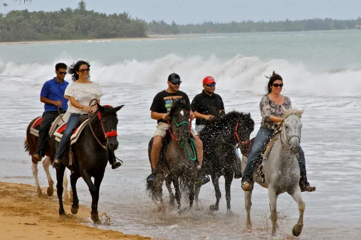 a group of people riding horses on a beach near a body of water