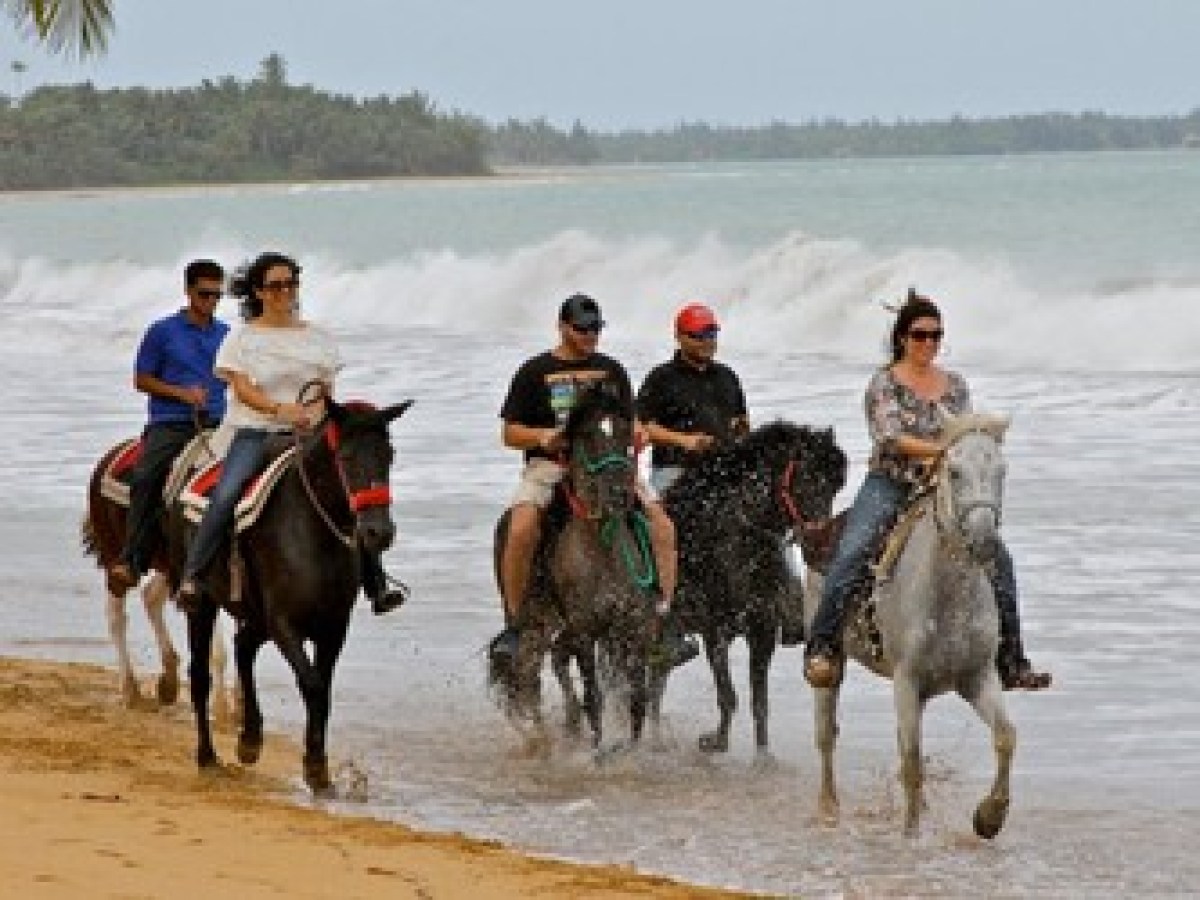 a group of people riding horses on a beach near a body of water