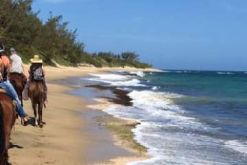 a man riding a horse on a beach