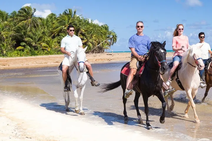 Group of people riding horses on a tropical beach with palm trees.