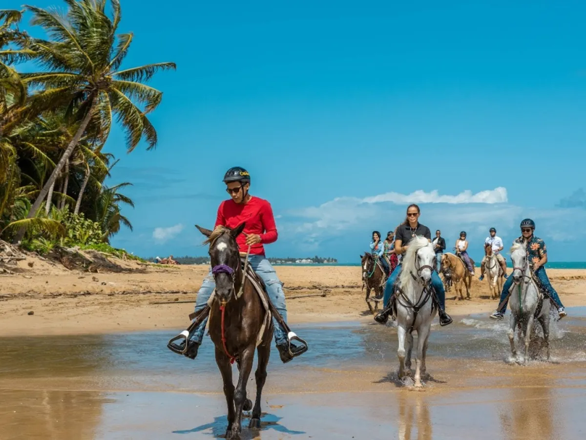 People riding horses on a sandy beach near palm trees and ocean.