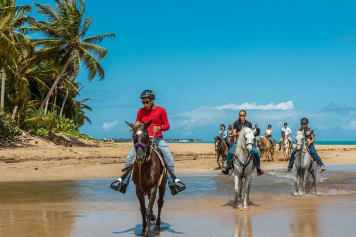 People riding horses on a sandy beach near palm trees and ocean.