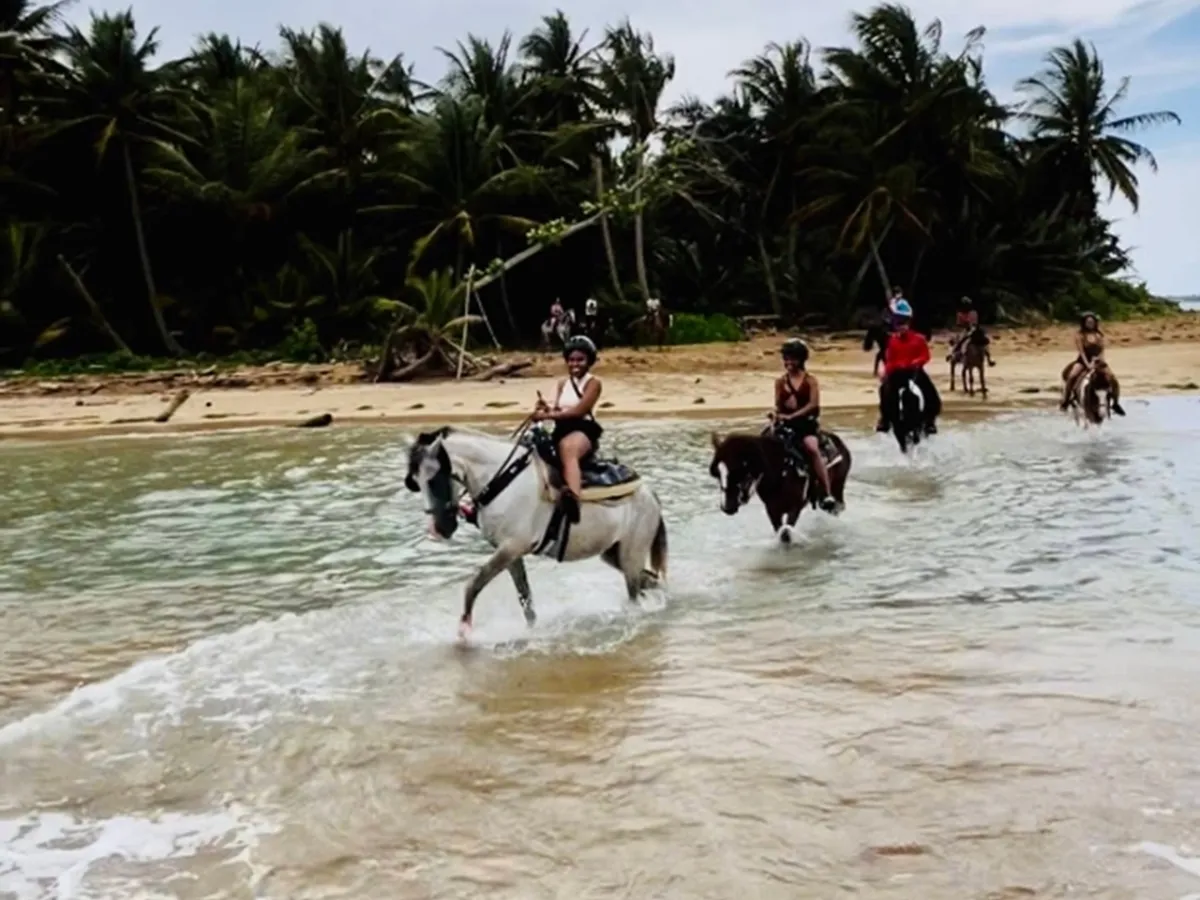 Group riding horses through shallow water on a beach, with palm trees in the background.