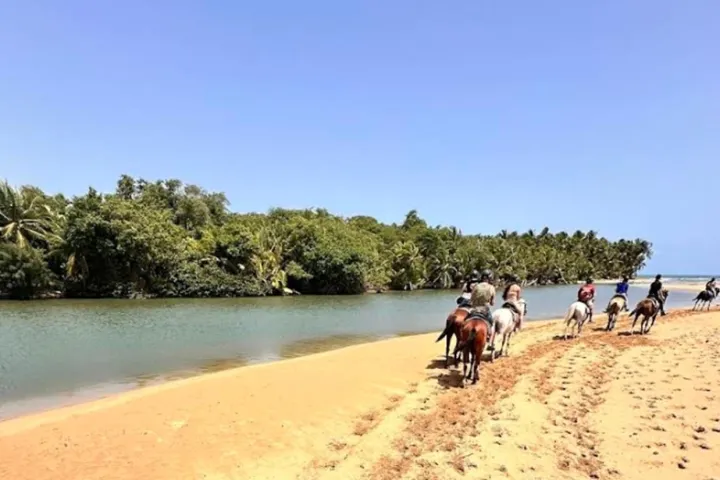 People horseback riding on a sandy beach next to a river with palm trees and a clear blue sky.