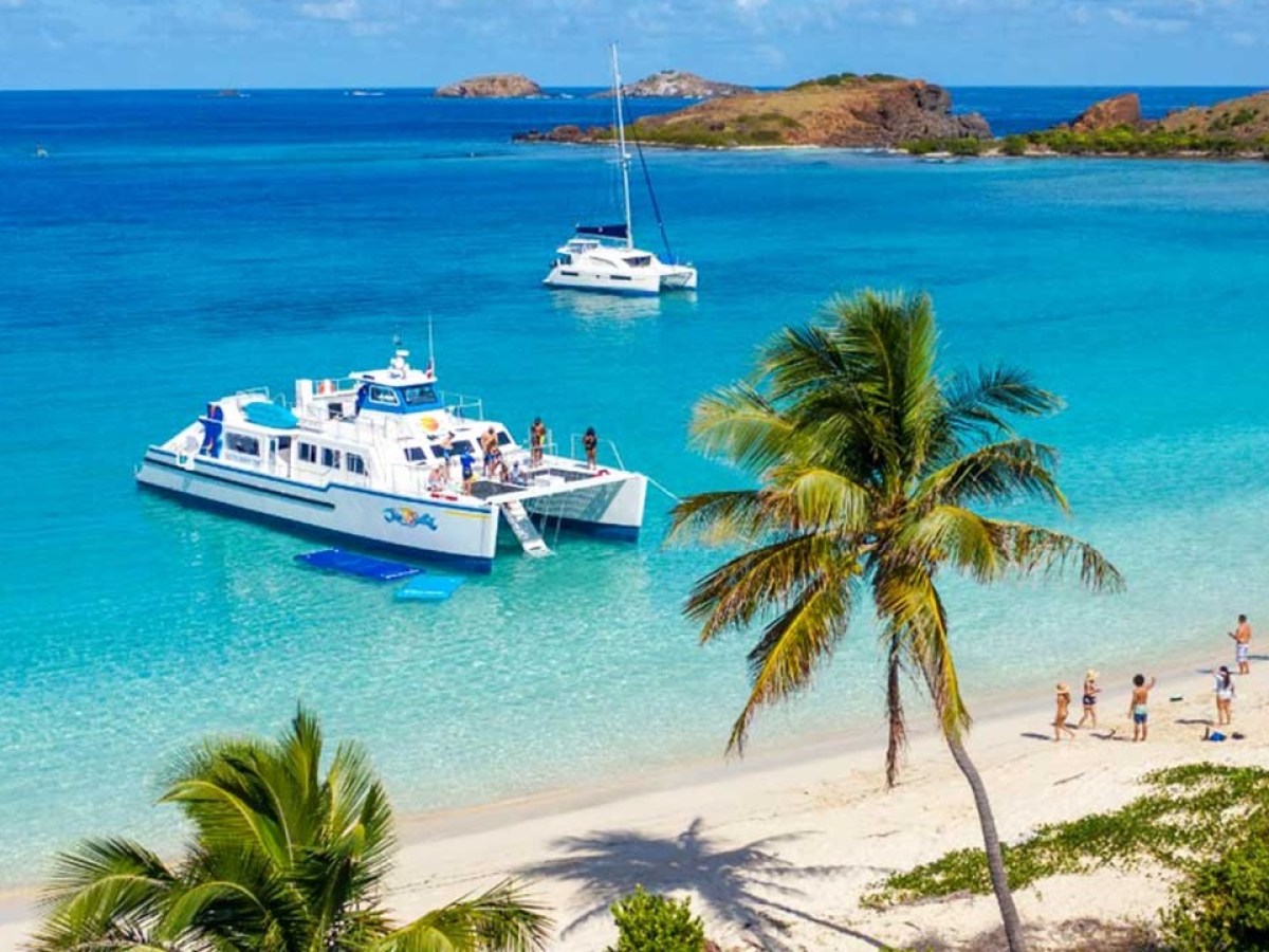 Catamarans anchored by a tropical beach with palm trees and clear blue water.
