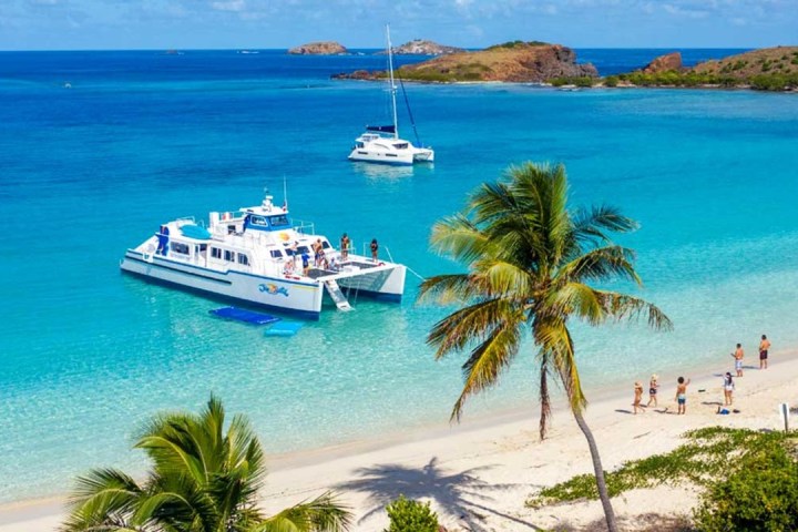 Catamarans anchored by a tropical beach with palm trees and clear blue water.