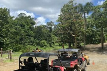 a group of people riding on the back of a truck