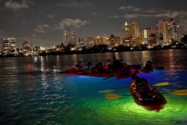 Kayakers with glowing lights paddle at night near a city skyline reflected in the water.