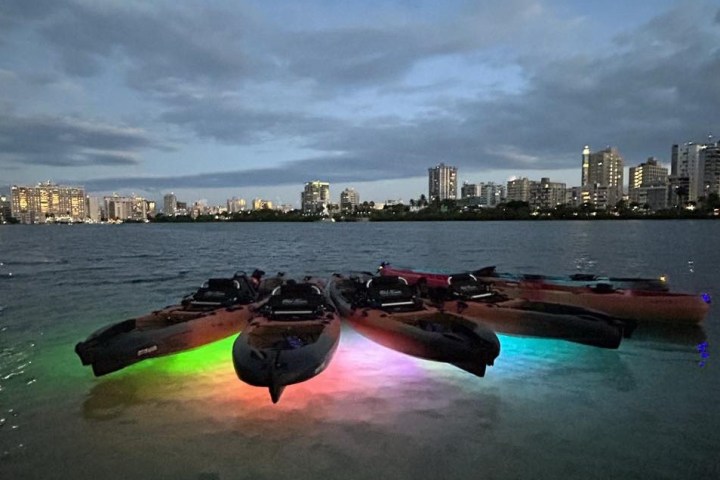 Kayaks with colorful lights float on water with city skyline at dusk.