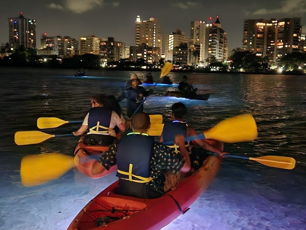 Kayakers in a city harbor at night with illuminated water and skyline in the background.
