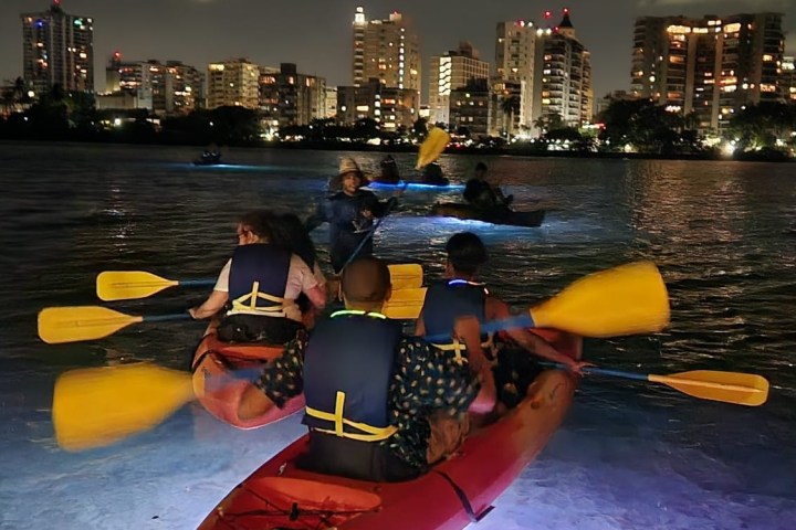 Kayakers in a city harbor at night with illuminated water and skyline in the background.
