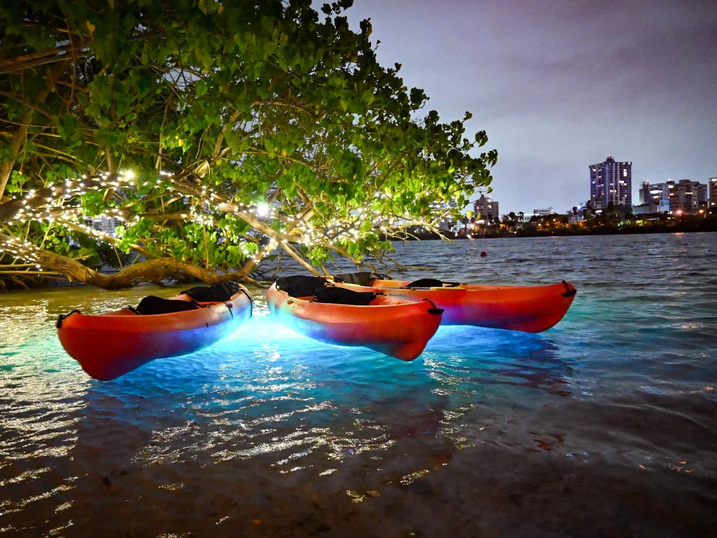 Three kayaks under a tree with string lights at night, glowing water, city skyline in the background.