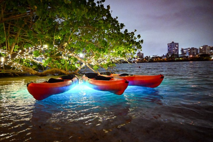 Three kayaks under a tree with string lights at night, glowing water, city skyline in the background.