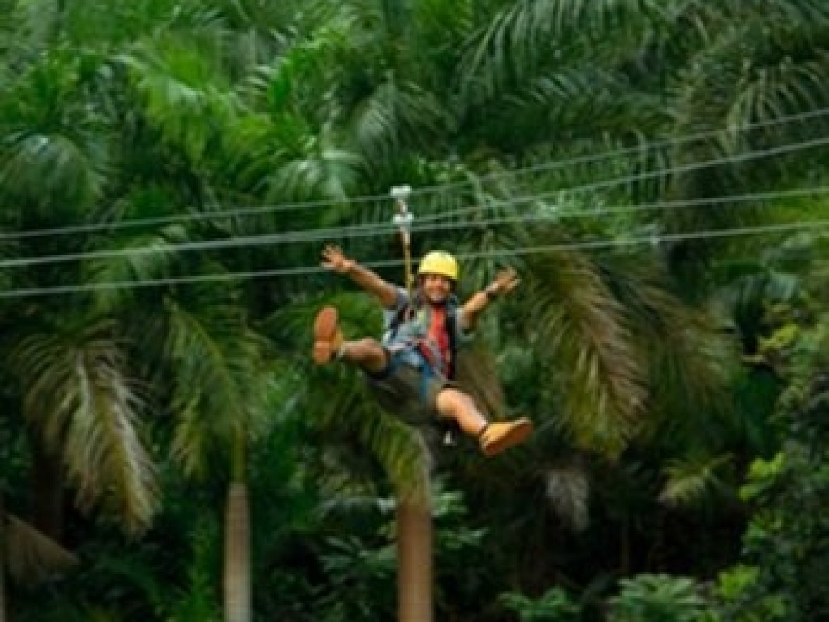 a person standing next to a palm tree