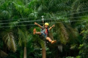a person standing next to a palm tree