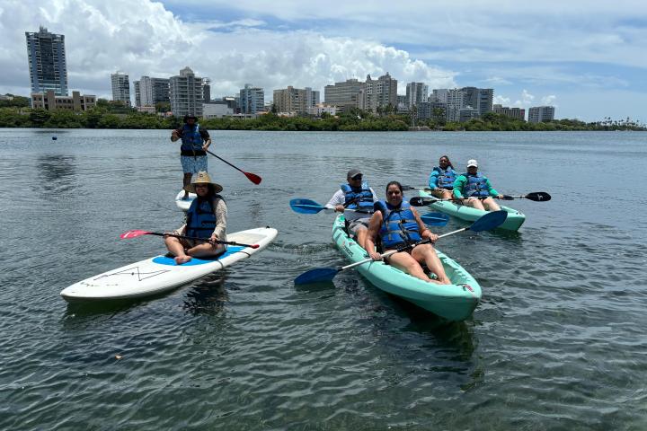 People kayaking and paddleboarding in a calm water body with city skyline in the background.