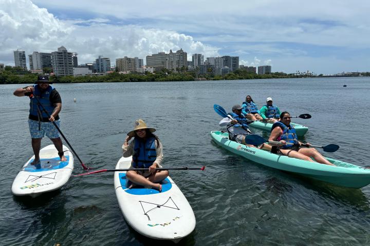 People kayaking and paddleboarding on a sunny day with city skyline in the background.