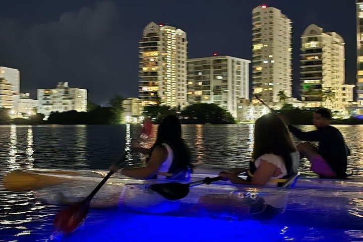 People kayaking on a lit-up water at night, city buildings in background.