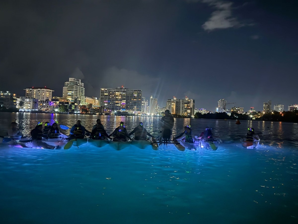 Kayakers with glowing lights on a city river at night.