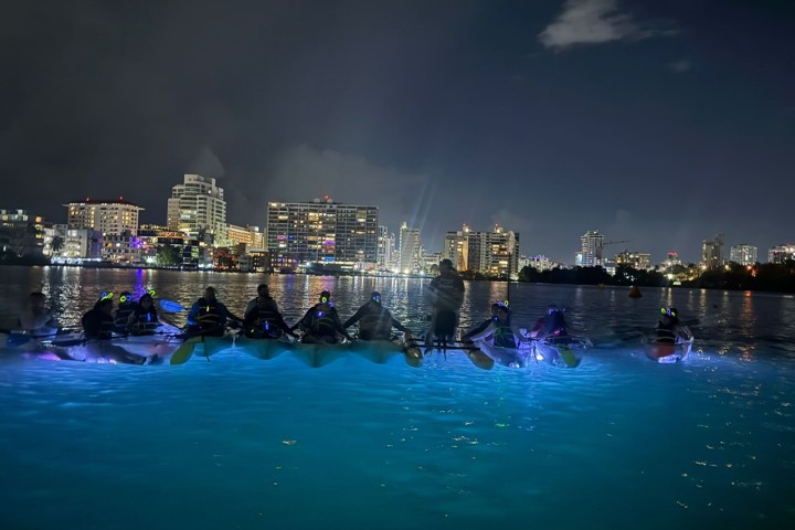Kayakers with glowing lights on a city river at night.