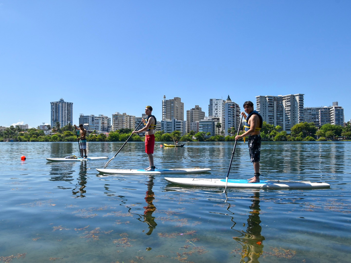 Three people paddleboarding on a calm lake with city buildings in the background.