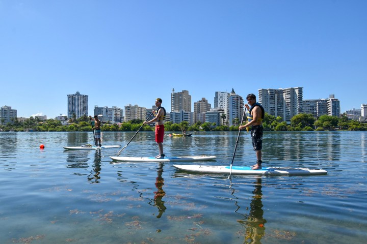 Three people paddleboarding on a calm lake with city buildings in the background.