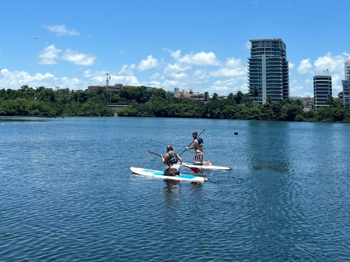 Two people paddleboarding on a calm lake with city skyline in the background.