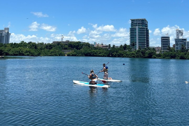 Two people paddleboarding on a calm lake with city skyline in the background.