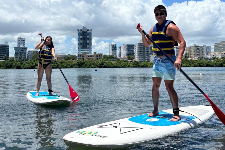 Two people paddleboarding on a calm body of water with city buildings in the background.