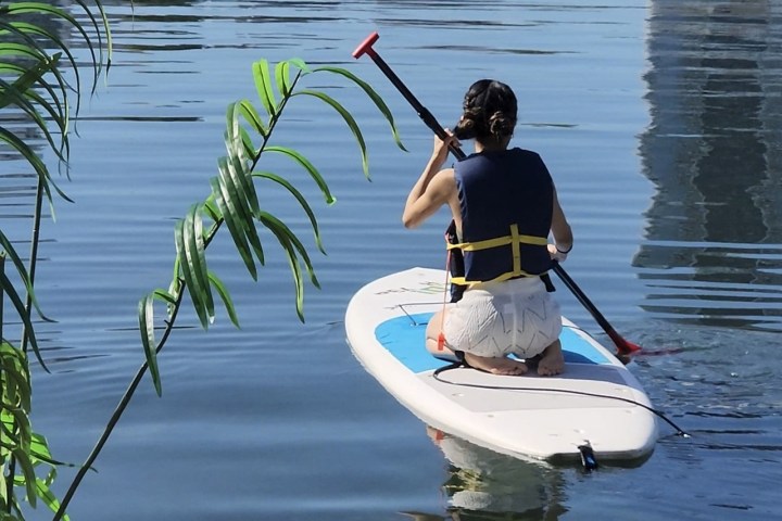 Person paddles on a stand-up paddleboard on a calm lake, wearing a life vest.