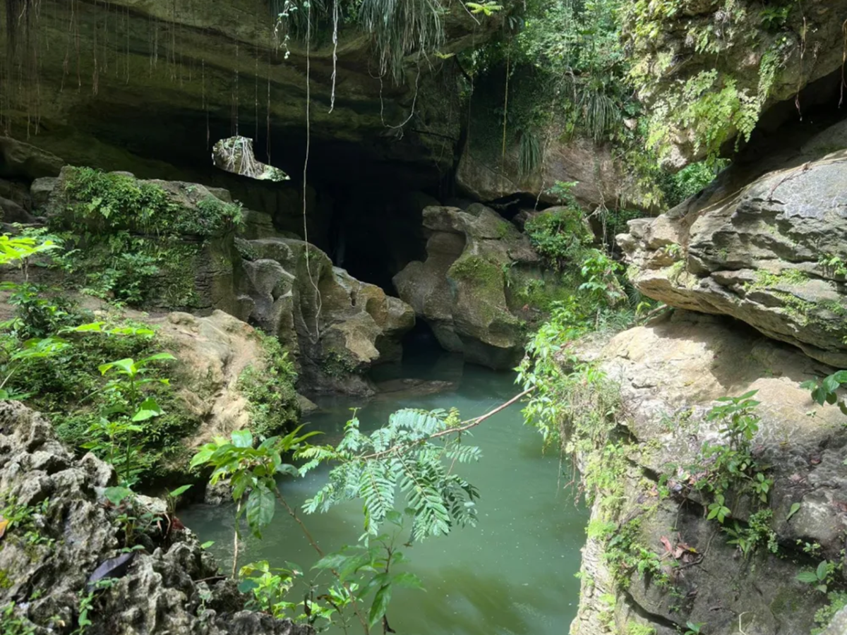 Lush green ravine with rocky cliffs and a tranquil turquoise pond.
