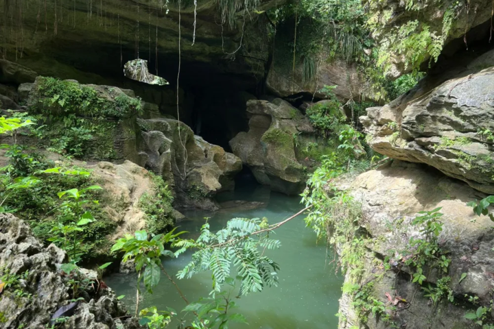Lush green ravine with rocky cliffs and a tranquil turquoise pond.