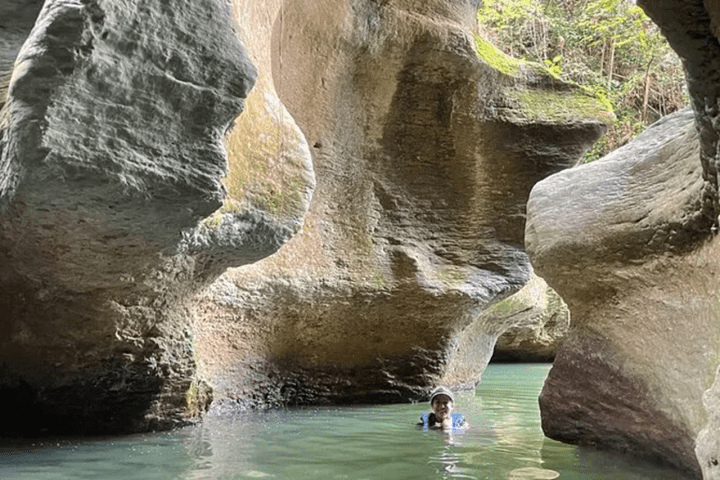 Person swimming in a rocky canyon with tall, mossy walls.