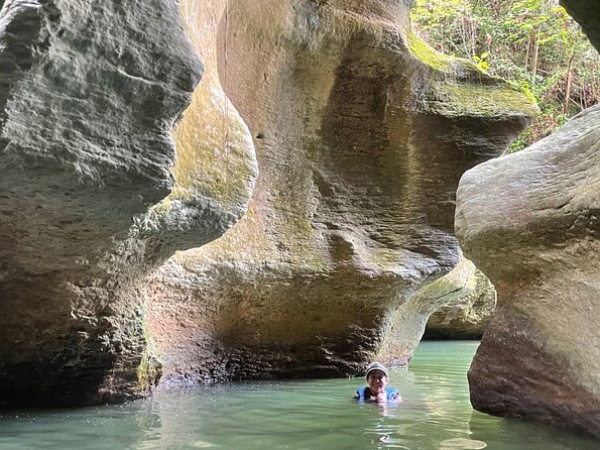 a close up of a rock next to a body of water