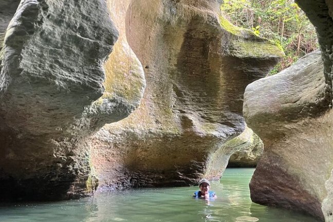a close up of a rock next to a body of water
